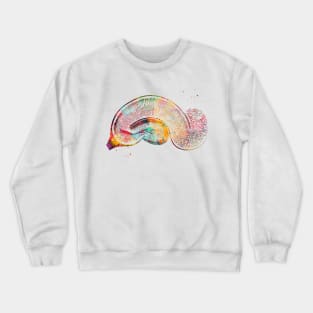 Brain Pyramidal Neurons Crewneck Sweatshirt